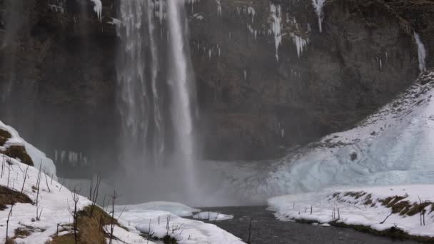 Güzel Seljalandsfoss Soğuk Bir Kış Gününde Zlanda Avrupa — Stok video