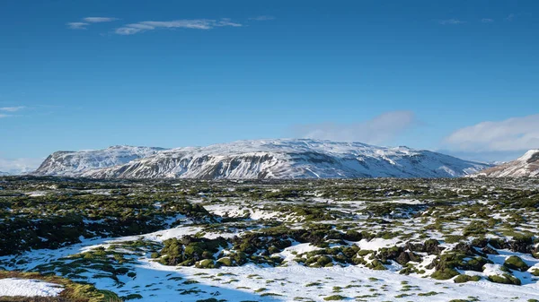 Skaftareldahraun, Island, Europa — Stockfoto