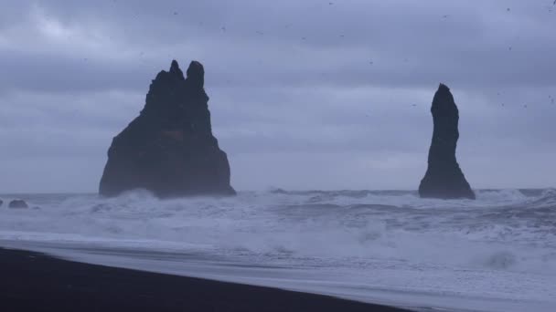 Скальный Шпиль Рейнисдрангура Побережье Рейнисфьяры Рядом Виком Исландия Европа — стоковое видео