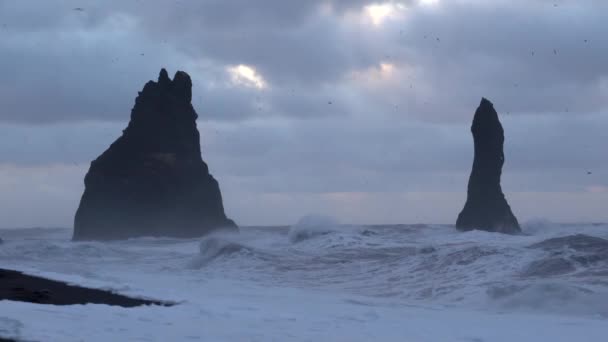 Felsenspitze Von Reynisdrangur Küste Von Reynisfjara Bei Vik Island Europa — Stockvideo
