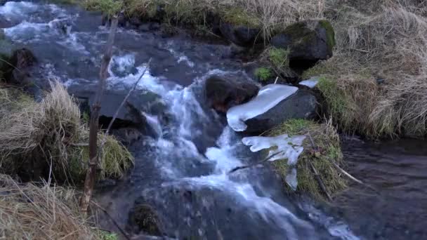 Vattendrag Forsande Bäck Med Istappar — Stockvideo