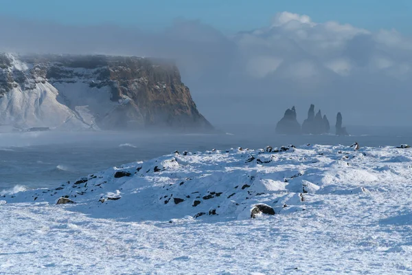 Cape Dyrholaey, IJsland — Stockfoto