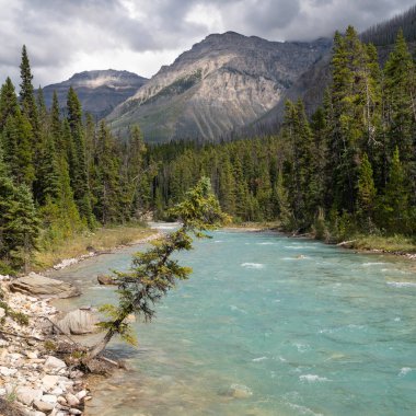 Kootenay Ulusal Parkı, Britanya Kolombiyası, Kanada