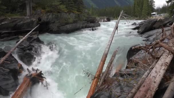 Wodospad Numa Terenie Parku Narodowego Kootenay Kolumbia Brytyjska Kanada — Wideo stockowe