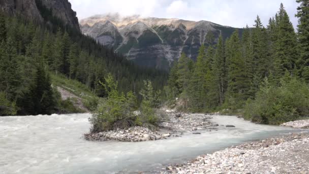 Parque Nacional Yoho Columbia Británica Canadá — Vídeo de stock