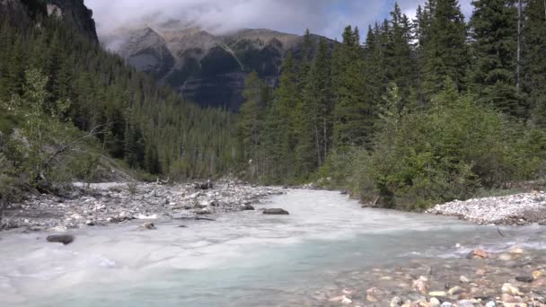 Parque Nacional Yoho Columbia Británica Canadá — Vídeos de Stock