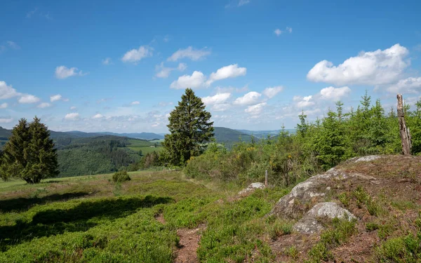 Panoramatická Krajina Národního Parku Kalte Kirche Blízkosti Schmallenbergu Sauerland Německo — Stock fotografie