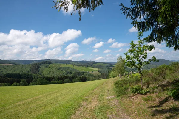 Panoramatický Obraz Oblasti Sauerland Blízkosti Winterbergu Malou Turistickou Stezkou Přes — Stock fotografie