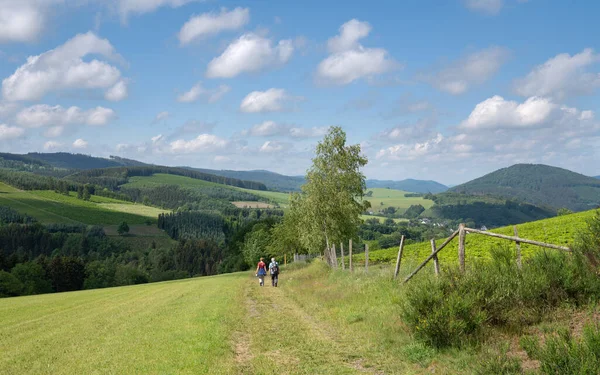 Winterberg yakınlarındaki Sauerland bölgesinin panoramik görüntüsü. Almanya 'da yeşil bir çayırda küçük bir yürüyüş yolu var.