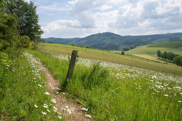 Imagen Panorámica Región Sauerland Cerca Winterberg Con Una Pequeña Ruta Fotos De Stock Sin Royalties Gratis