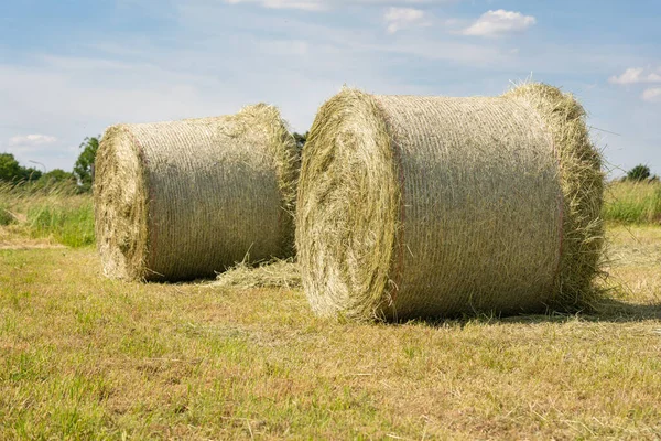 Panoramic image of hay rolls on a meadow against blue sky, agriculture, Germany