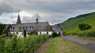 BERNKASTEL, GERMANY - 19 Haziran 2020: Moselle üzüm bağları içinde eski bir manastırın panoramik görüntüsü 19 Haziran 2020 'de Bernkastel, Almanya' da