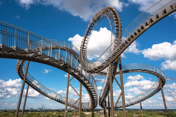 Duisburg Alemanha Agosto 2020 Tigre Tartaruga Marco Ruhr Metropolis Contra — Fotografia de Stock