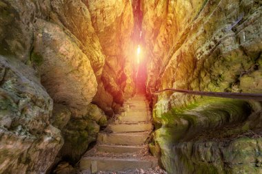 Yaz mevsimi boyunca Mullerthal 'in panoramik manzarası, Lüksemburg