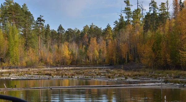 Sibirya nehir Ilim Güz