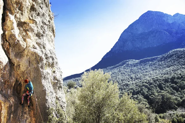 kadın dağcı. kaya tırmanışçısı kayalık bir duvara tırmanıyor. kadın sert hareket yapar.