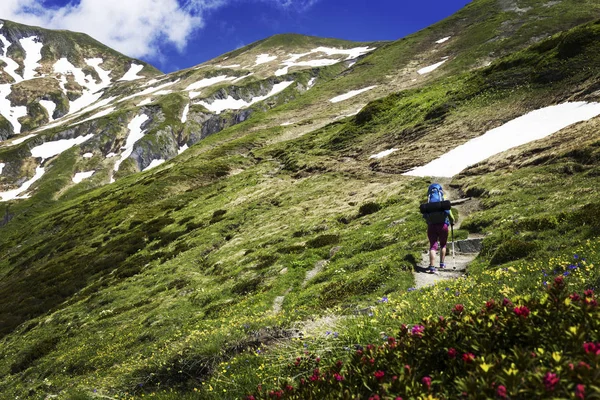 Kampania Wokół Mont Blanc Dziewczyna Jest Chodzenie Wzdłuż Szlaku Plecakiem — Zdjęcie stockowe