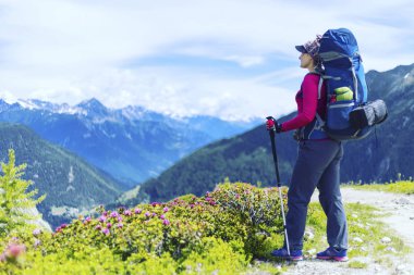 Yaz yürüyüşü dağlarda.