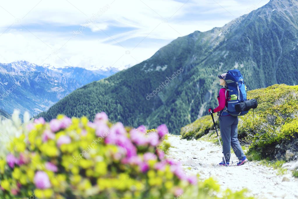 Summer hiking in the mountains.