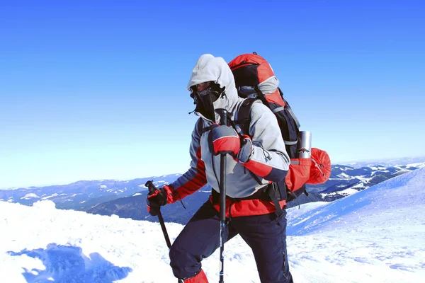 Caminata Invierno Las Montañas Con Una Mochila Tienda Campaña —  Fotos de Stock