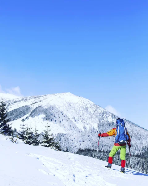 滑雪鞋沃克在美丽的日出光粉雪中运行 冬季户外活动和健康的生活方式 — 图库照片
