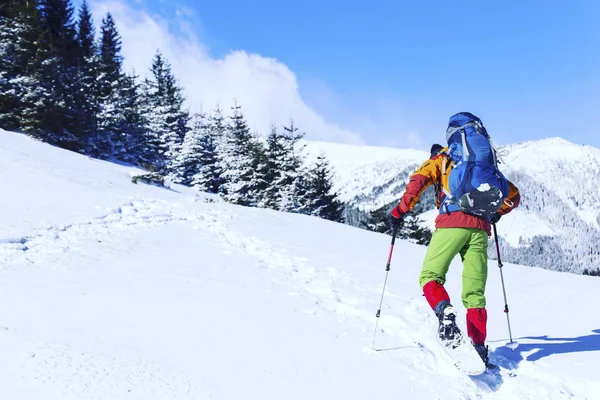 Caminante Raquetas Nieve Corriendo Nieve Polvo Con Hermosa Luz Del — Foto de Stock