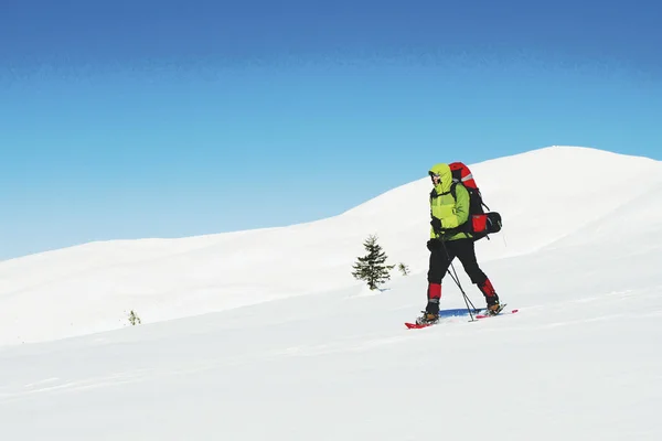 冬季徒步旅行在山上与背包在雪鞋 — 图库照片