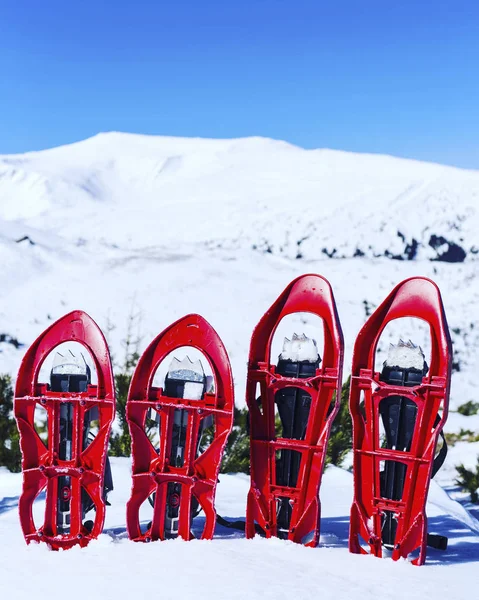 Sapatos Neve Estão Neve Contra Pano Fundo Das Montanhas — Fotografia de Stock