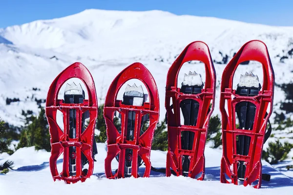 Sapatos Neve Estão Neve Contra Pano Fundo Das Montanhas — Fotografia de Stock