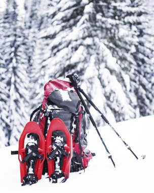 Dağlarda kış yürüyüş. Kar ayakkabılarını kar ormanın zemine karşı durmak.