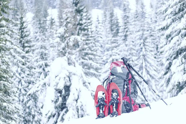 Caminata Invierno Las Montañas Raquetas Nieve Pie Nieve Contra Telón — Foto de Stock