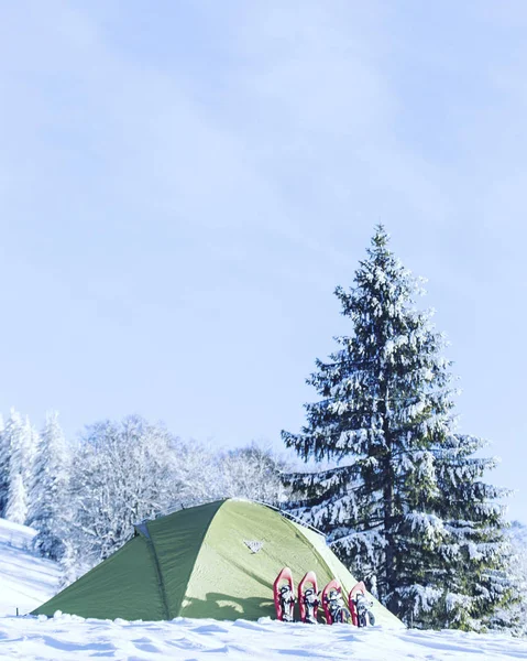 Winterwanderung Den Bergen Schneeschuhe Liegen Schnee Neben Dem Zelt — Stockfoto