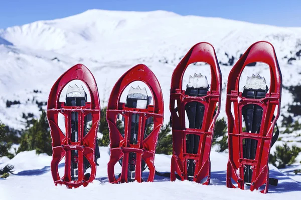 Caminhadas Inverno Nas Montanhas Com Uma Tenda Sapatos Neve — Fotografia de Stock