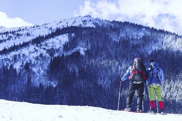 Senderismo Invierno Las Montañas Raquetas Nieve Con Una Mochila Tienda — Foto de Stock