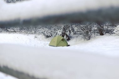 Yeşil çadır ve turist karlı çam ağacı orman zemin karşı. Muhteşem kış manzarası. Yüksek Dağları'nda turistler kampı. Seyahat kavramı.