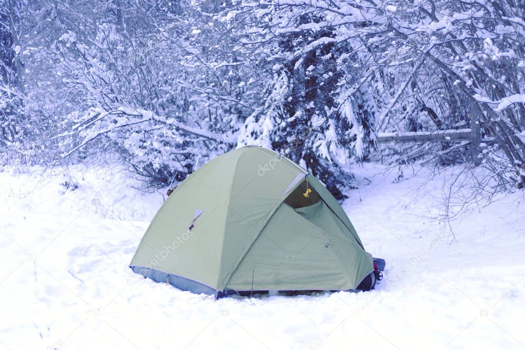 Green tent and tourist against the backdrop of snowy pine tree forest. Amazing winter landscape. Tourists camp in high mountains. Travel concept.