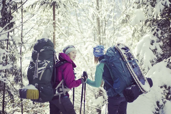 Dos Chicas Están Caminando Bosque Invierno — Foto de Stock