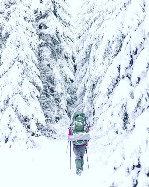 Wandeltochten Canadese Mountains Wandeling Populaire Recreatie Activiteit Noord Amerika — Stockfoto