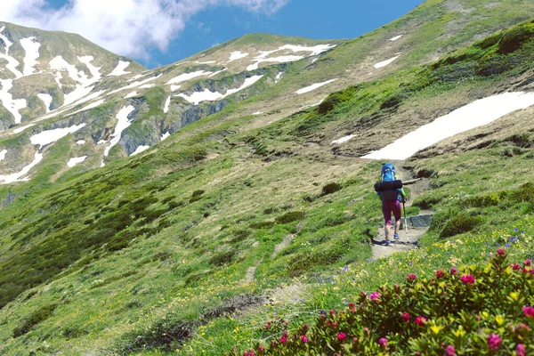 Die Tour Mont Blanc Ist Eine Einzigartige Wanderung Von 200 lizenzfreie Stockfotos