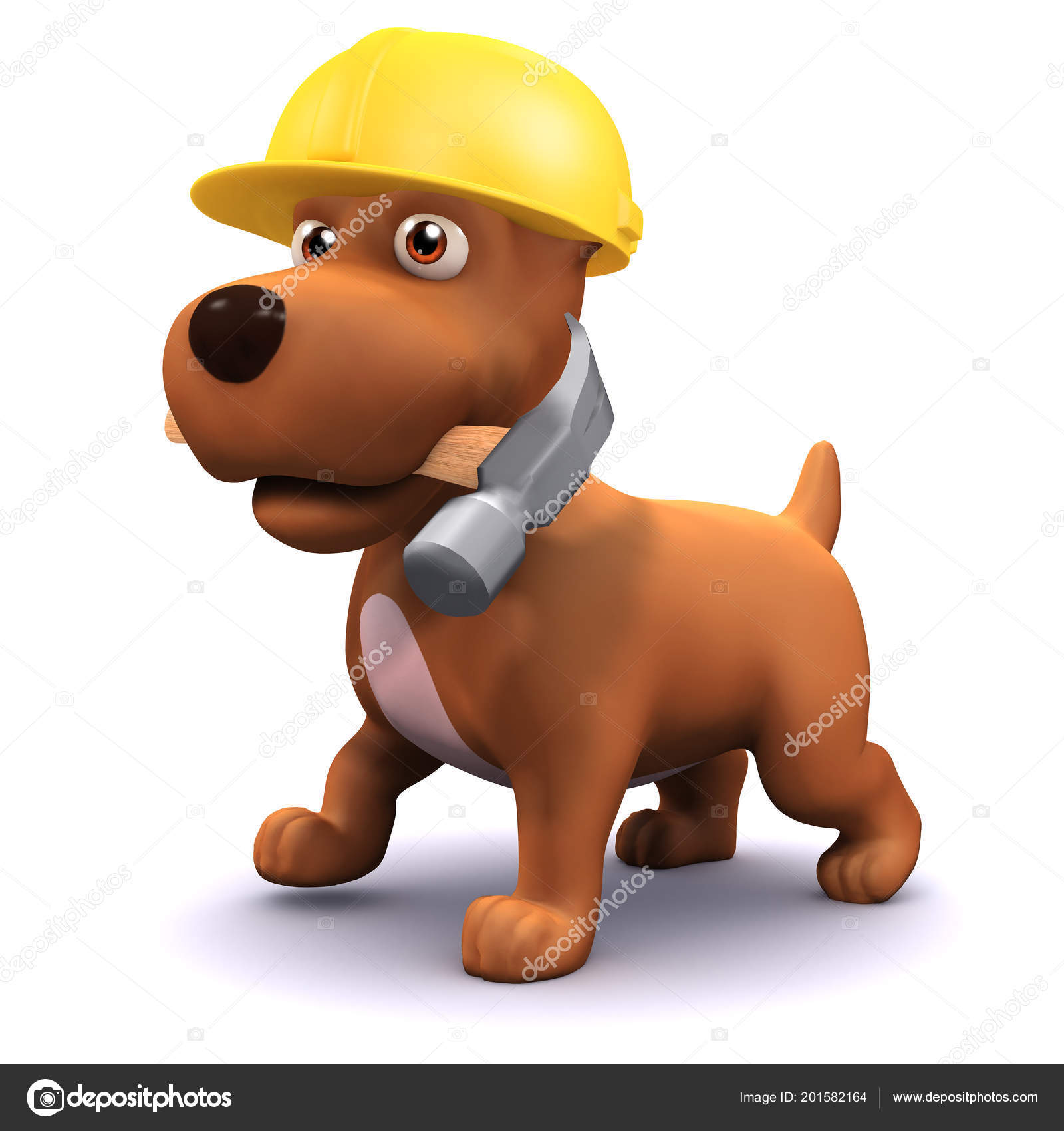 dog hard hat
