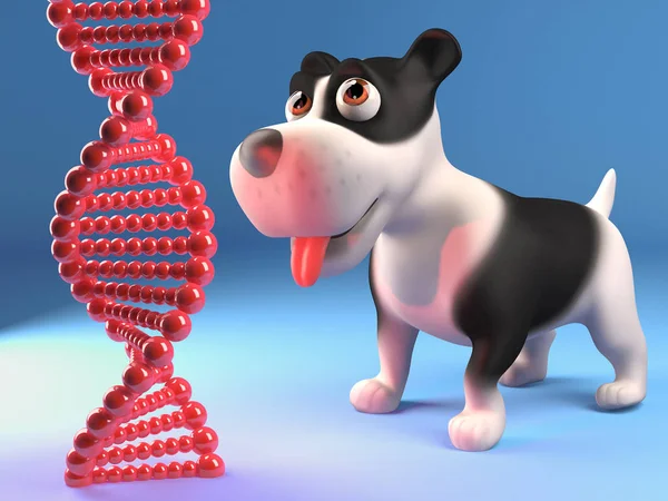 Заинтригованный щенок смотрит на генетическую цепочку ДНК, 3d иллюстрация — стоковое фото