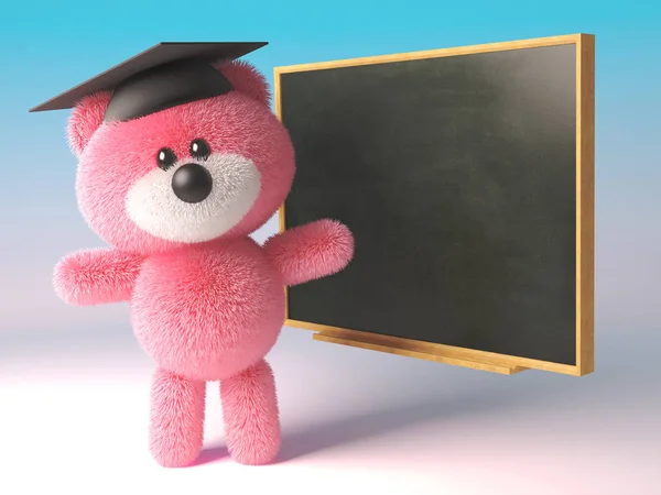 Urso de pelúcia com pêlo rosa fofo vestindo uma placa de argamassa e ensinando em um quadro negro, ilustração 3d — Fotografia de Stock