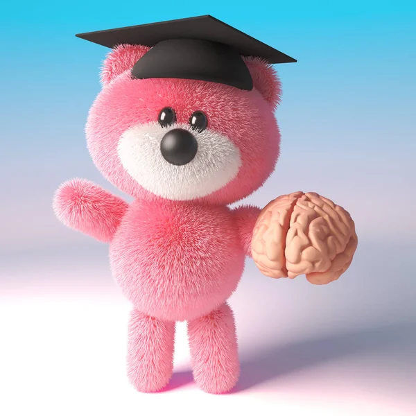 3D teddybeer met roze pluizige vacht het dragen van een mortel Board en het houden van een menselijk brein, 3D illustratie — Stockfoto