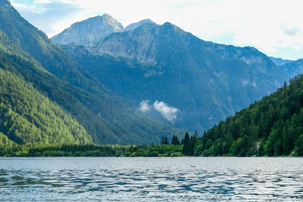 Gölün kıyısındaki ormanda çam ağaçları