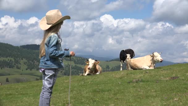 牛仔儿童放牧母牛 农夫女孩与牛 牛仔孩子在领域4K — 图库视频影像