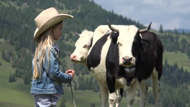 农夫牧羊人孩子与放牧的母牛 牛仔女孩与牛在山 — 图库视频影像