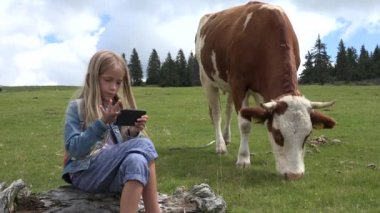 Tablet oynarken, inekler, kız akıllı telefon kullanarak, sığır otlatılması 4 k çoban çocuk