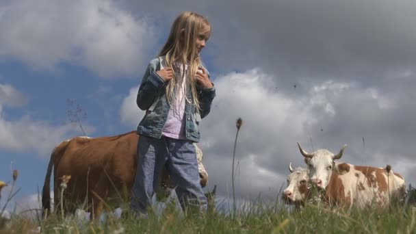 Criança Agricultora Vacas Animais Nas Montanhas Menina Turística Com Gado — Vídeo de Stock