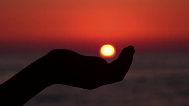 太陽を引くビーチ 女の子やしシルエットで遊ぶ 子の手 — ストック動画