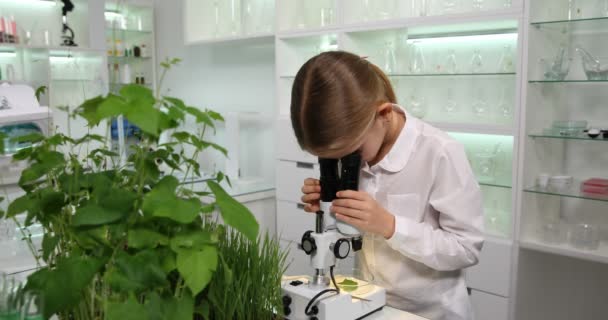 Okul Mikrobiyoloji Laboratuvarında Öğrenci Kız Okuyan Çocuk Mikroskop Kullanır — Stok video